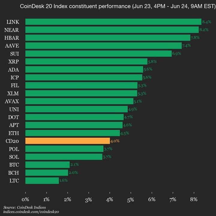 2025-06-24 9am CoinDesk 20 更新：垂直图表