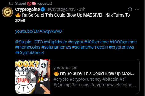 Cryptogains的stupidcoin视频