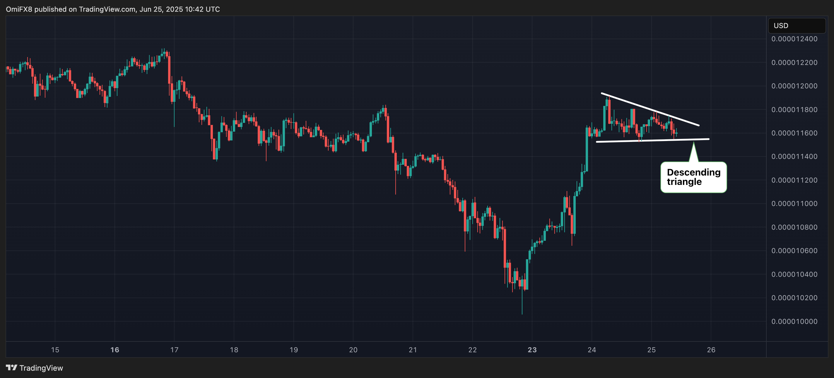 SHIB's hourly price chart. (TradingView/CoinDesk) SHIB's hourly price chart. (TradingView/CoinDesk)