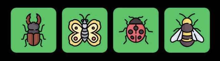 FLIES 每日组合 FLIES 每日组合