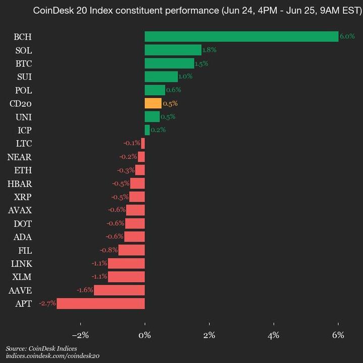 2025-06-25 9am CoinDesk 20 更新：垂直图表