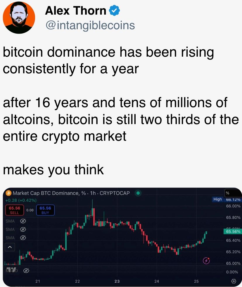 bitcoin dominance has been rising consistently for a year bitcoin dominance has been rising consistently for a year