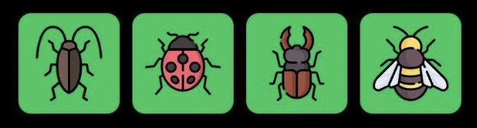 FLIES 每日组合 FLIES 每日组合