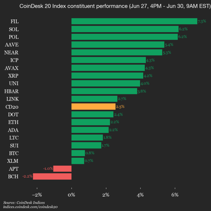 2025-06-30 9am CoinDesk 20 更新：垂直图