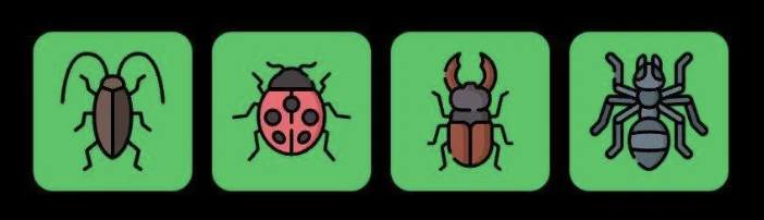 FLIES 每日组合