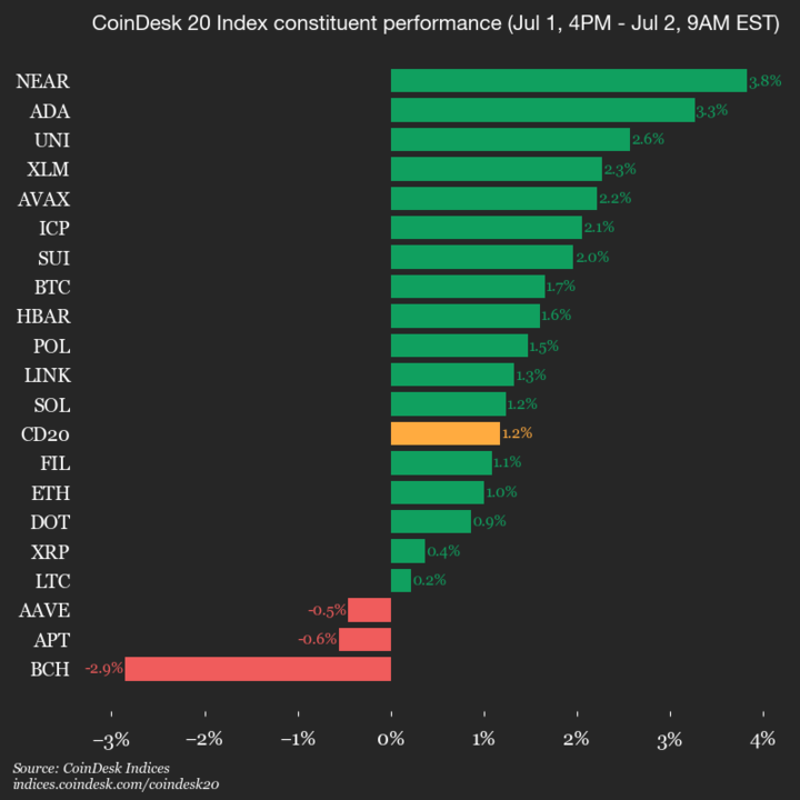 2025-07-02 9am CoinDesk 20 更新：垂直图