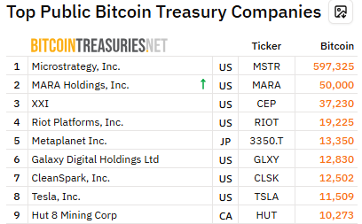 Tesla Bitcoin holding