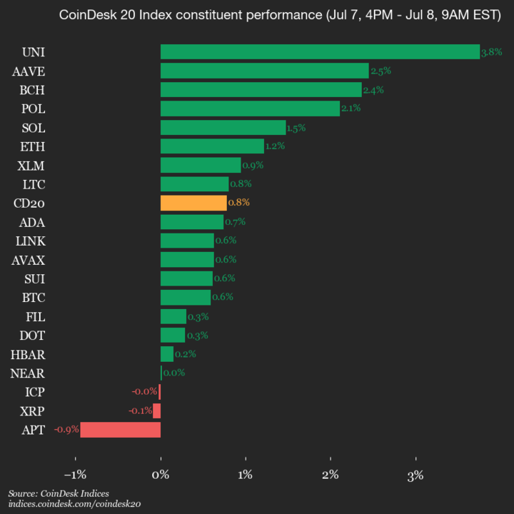 2025-07-08 9am CoinDesk 20 更新：垂直图