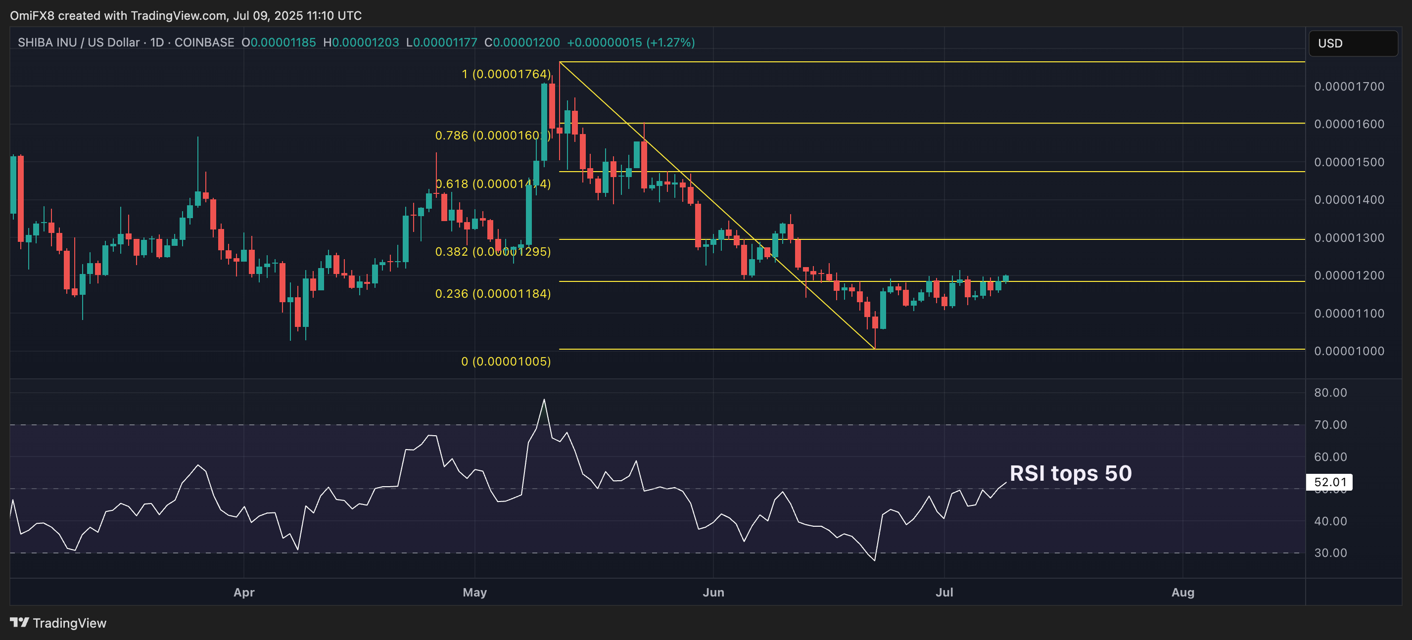 SHIB的日价格图表. (TradingView/CoinDesk)
