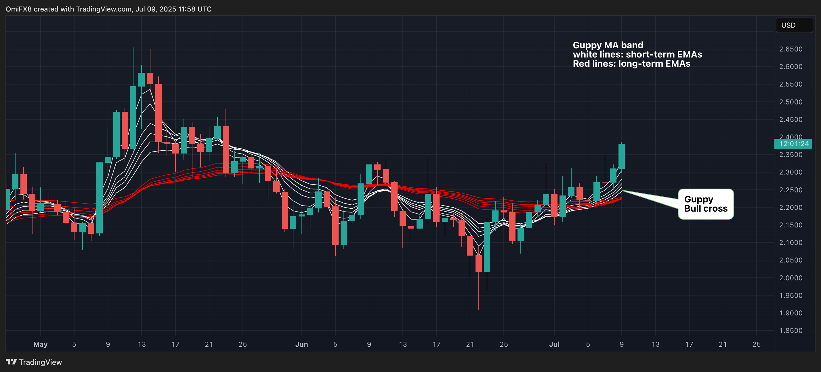 XRP图表 (TradingView)