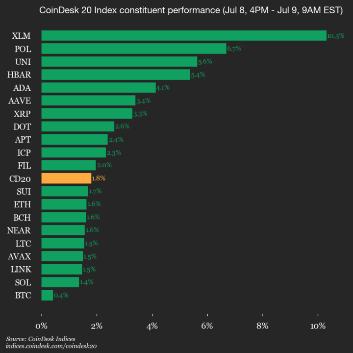 2025-07-09 9am CoinDesk 20 更新：垂直图