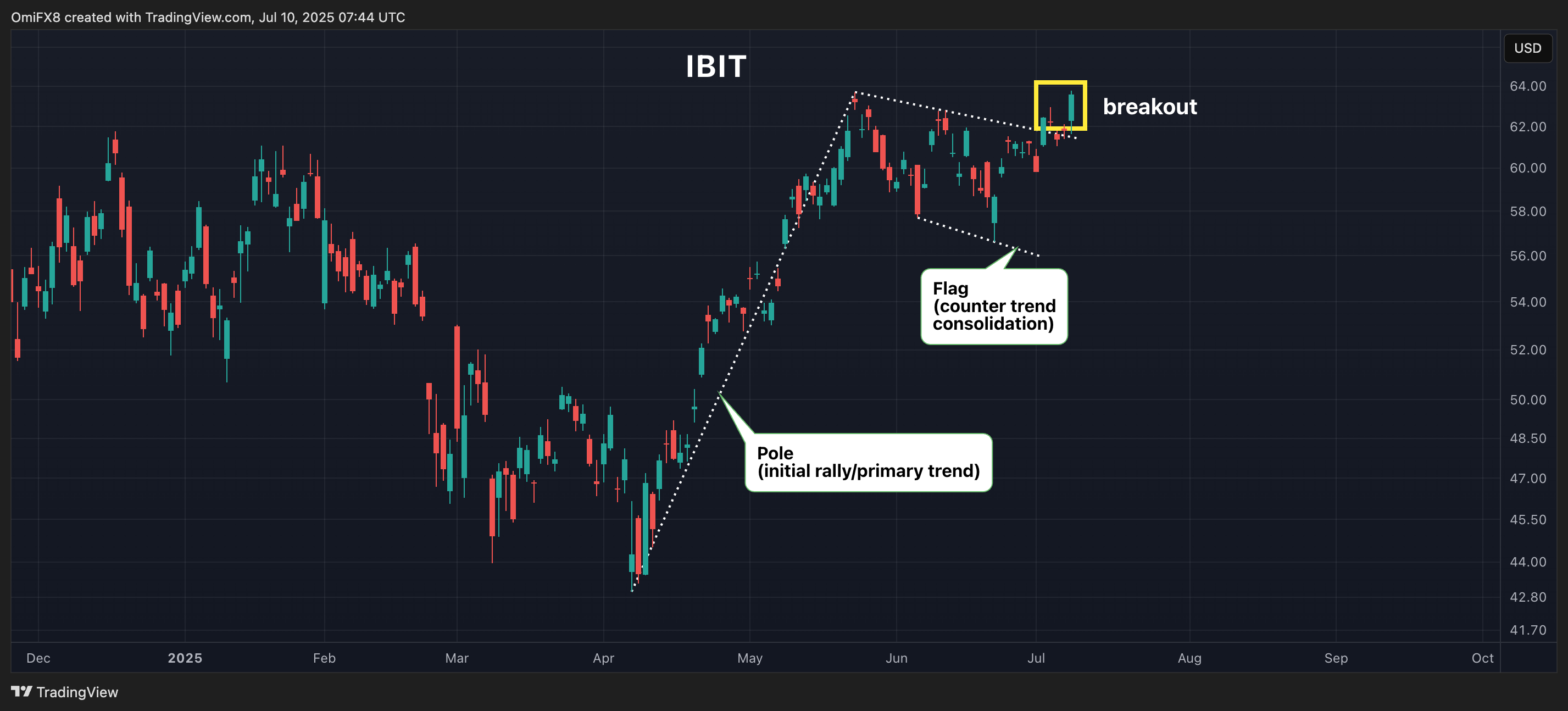 IBIT的每日图表。 (TradingView/CoinDesk)