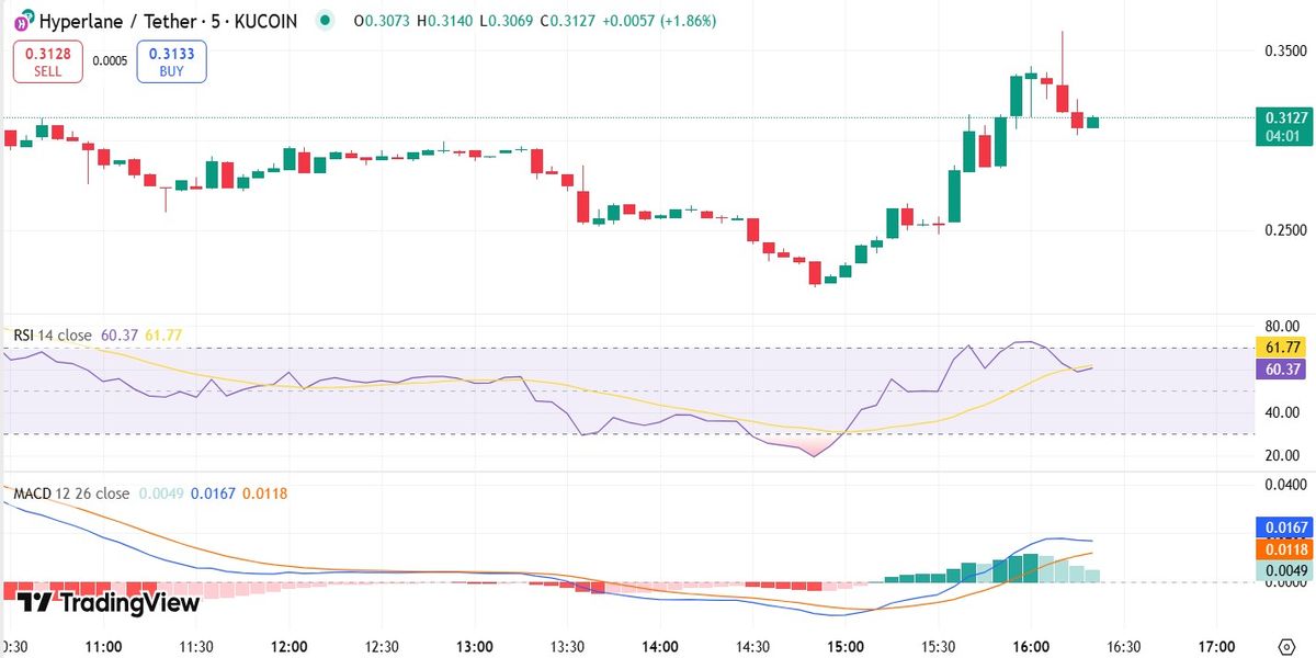 Hyperlane Price Prediction and Chart Analysis