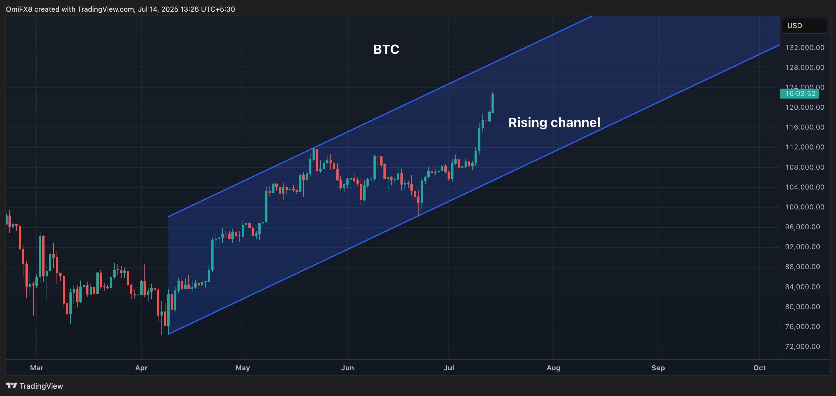 BTC的日线图. (TradingView)