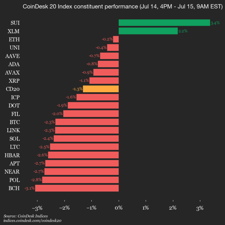 2025-07-15 9am CoinDesk 20 更新：垂直图