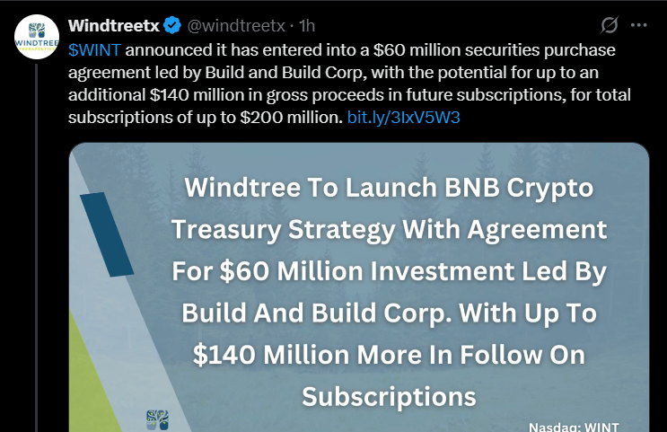 Windtree BNB 国库战略