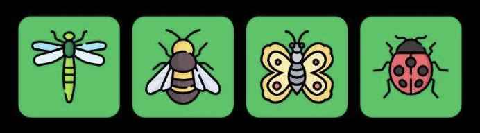 FLIES Daily Combo