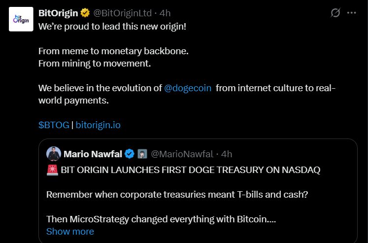 Bit Origin 狗狗币财库策略