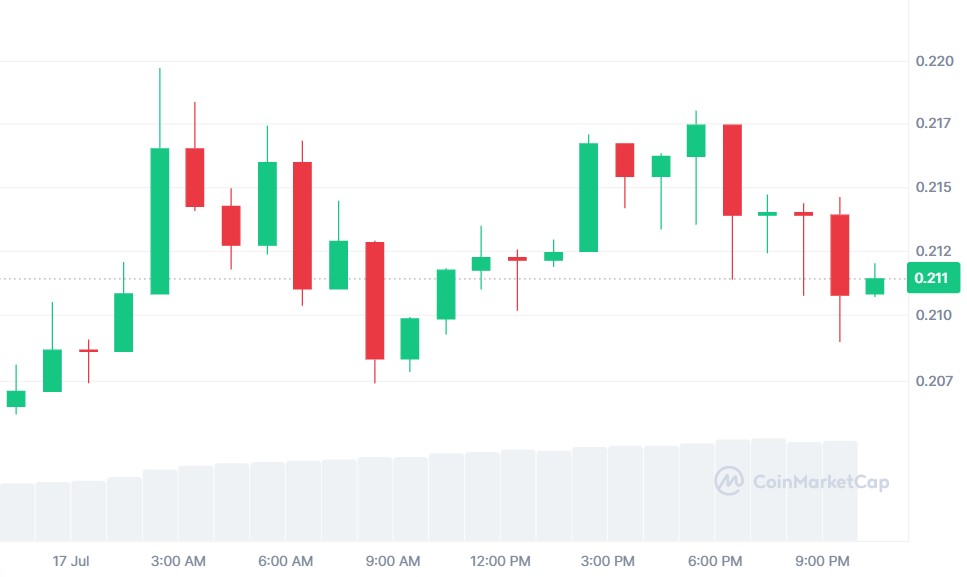 $DOGE 价格会突破到 $1 吗？