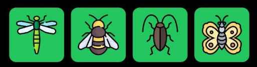 FLIES 每日组合 2025年7月18日