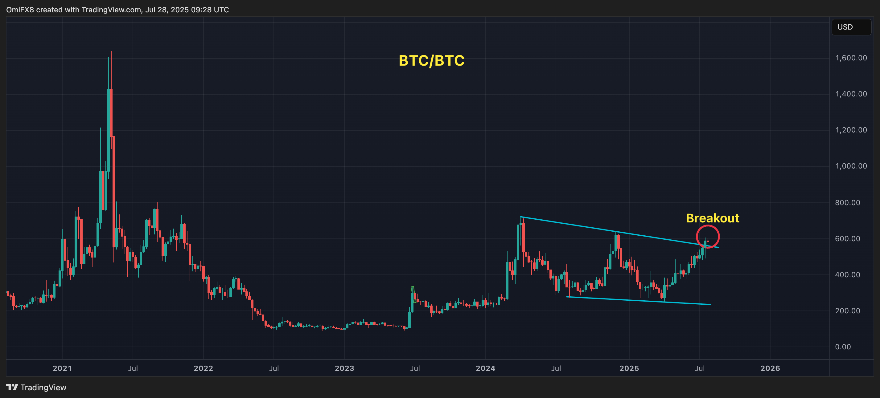BCH的日线图. (TradingView)