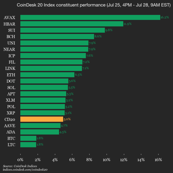 9am CoinDesk 20 Update for 2025-07-28: Vertical chart 9am CoinDesk 20 Update for 2025-07-28: vertical