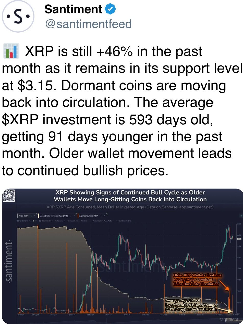 XRP 在过去一个月仍然上涨46%，保持在3.15美元的支撑位。