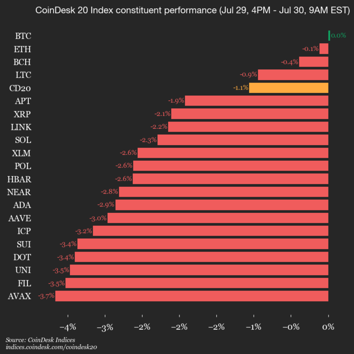 9am CoinDesk 20 Update for 2025-07-30: vertical chart 9am CoinDesk 20 Update for 2025-07-30: vertical