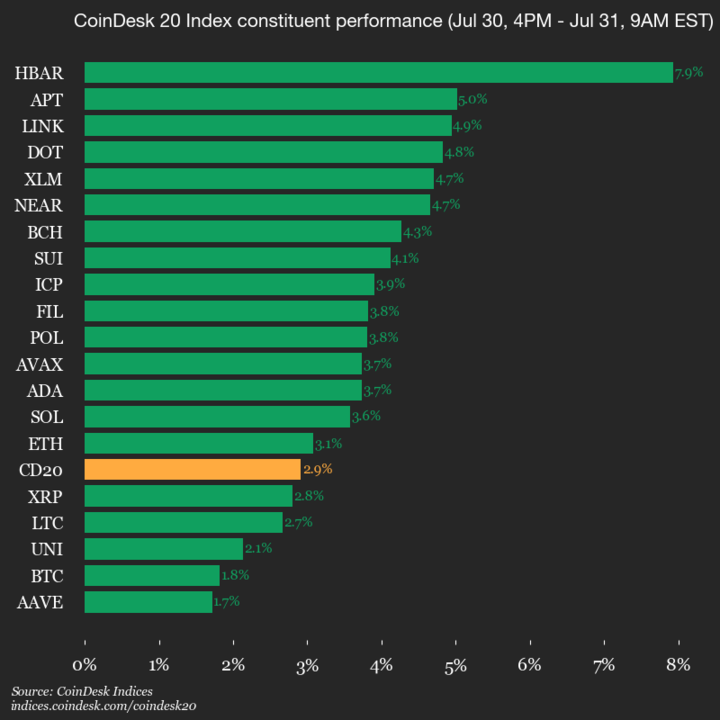 9am CoinDesk 20 Update for 2025-07-31: vertical chart 9am CoinDesk 20 Update for 2025-07-31: vertical
