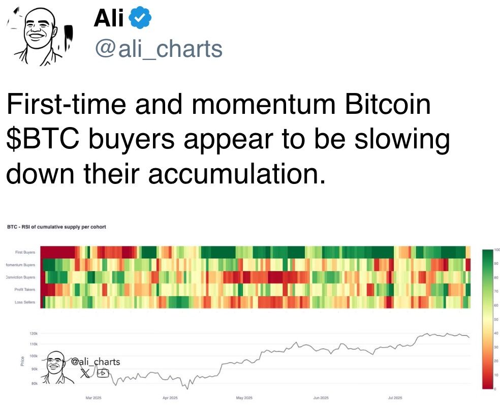 首次购买和动量比特币$BTC的买家似乎正在放缓他们的积累。