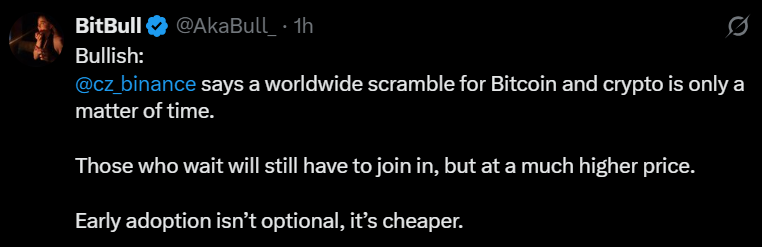 BitBull和比特币历史学家的推特帖子