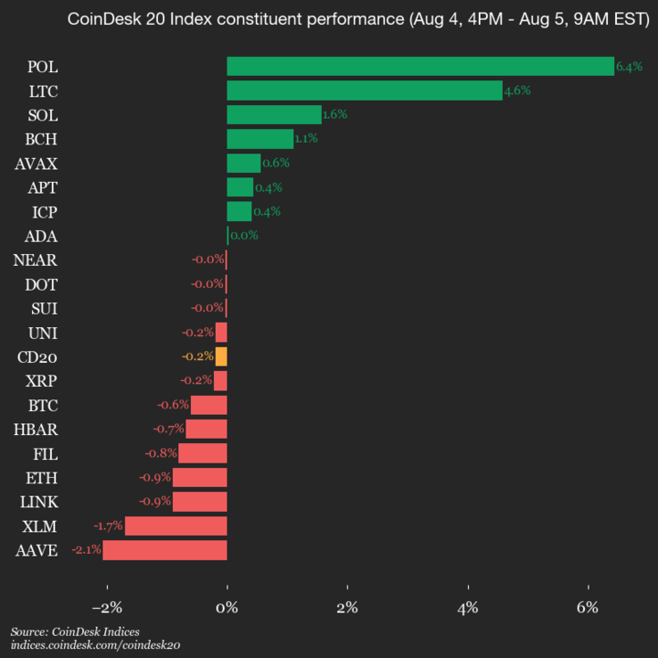 2025-08-05 9am CoinDesk 20 更新：垂直图