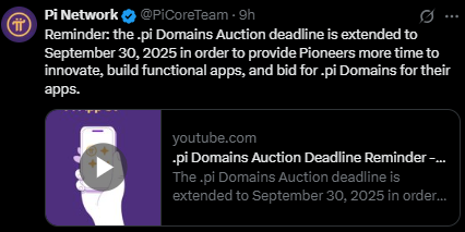 Pi Domain auction