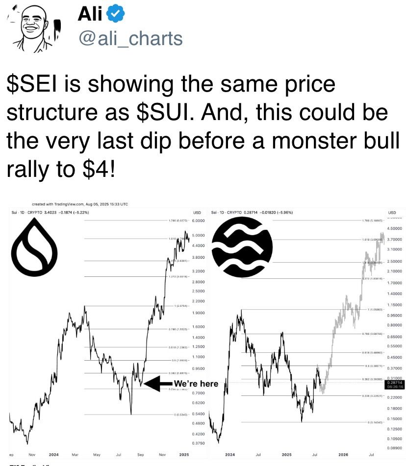 $SEI显示出与$SUI相同的价格结构。这可能是4美元大牛市前的最后一次回调！