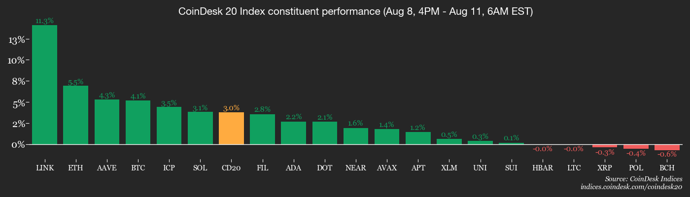 CoinDesk 20 members’ performance