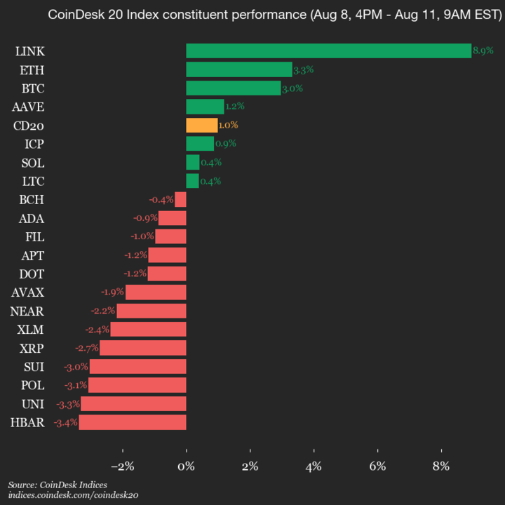 2025-08-11 9am CoinDesk 20 更新：领先者