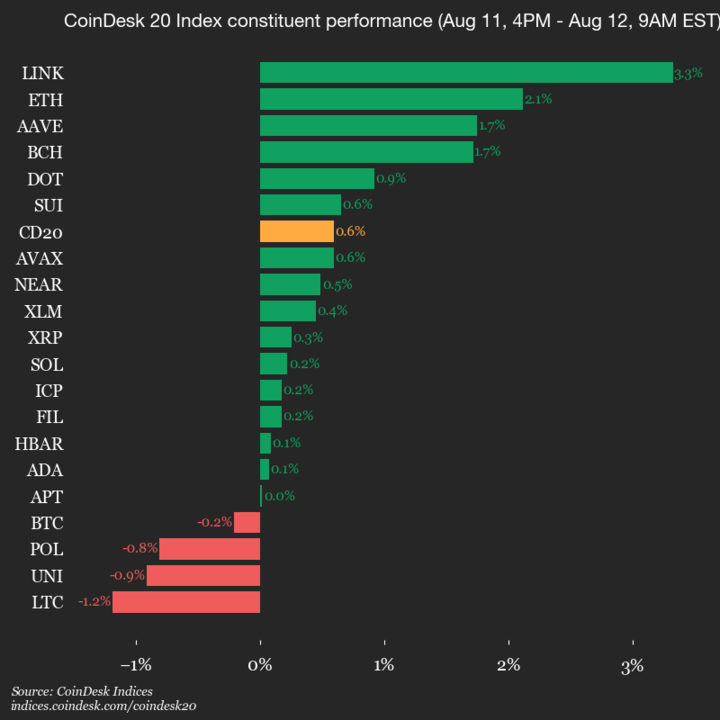 2025-08-12 9am CoinDesk 20 更新：垂直图