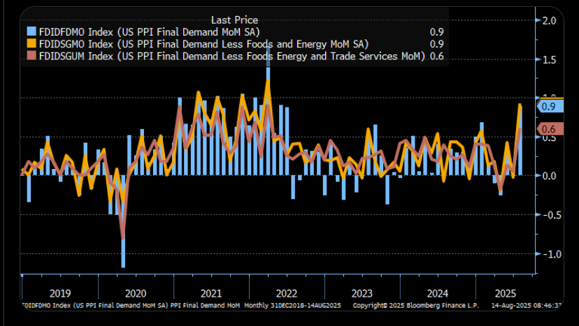 Kathy Jones PPI Report View