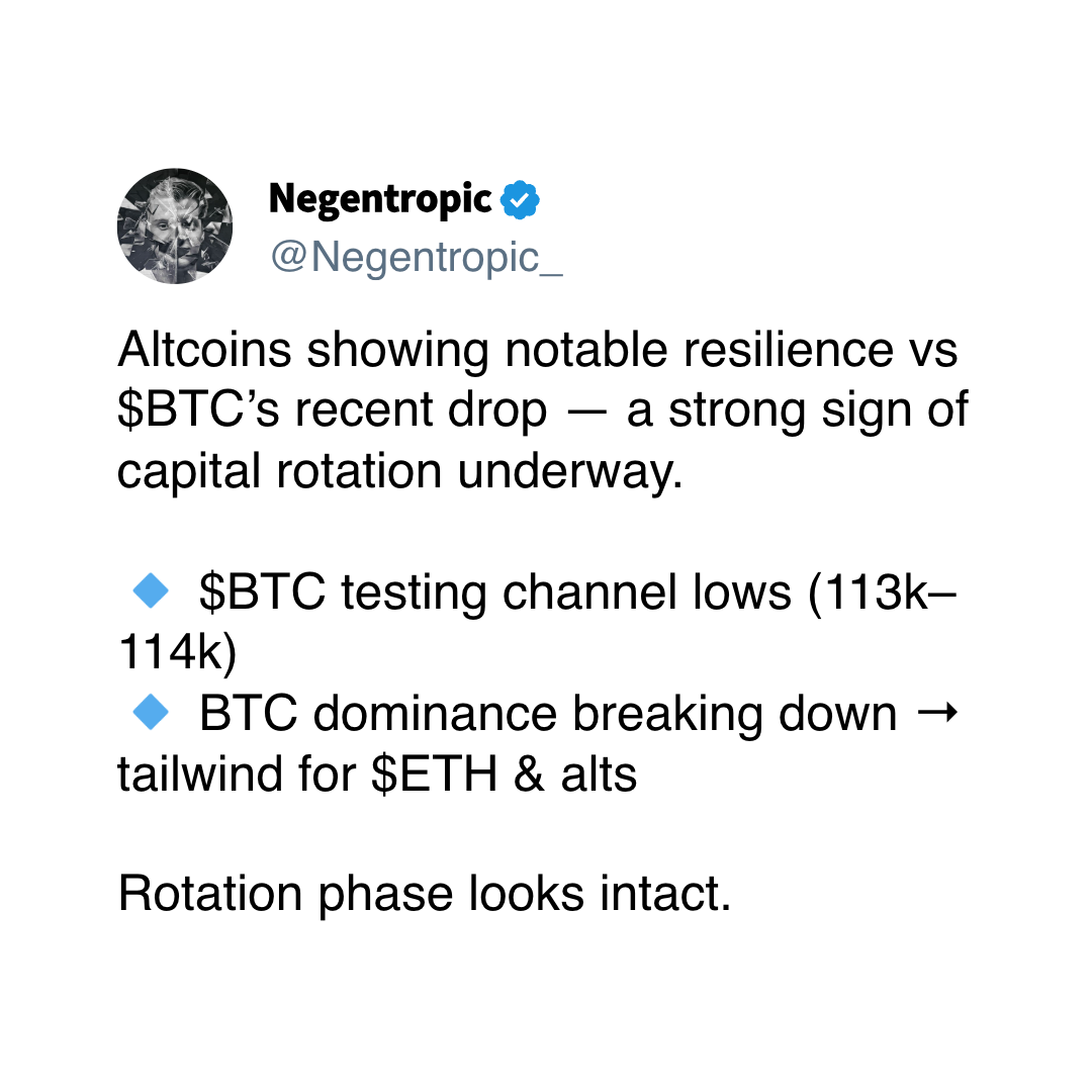 (Negentropic/X)
