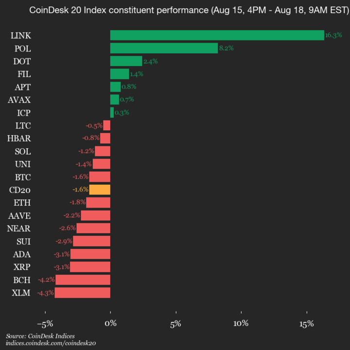2025-08-18 9am CoinDesk 20 更新：垂直图