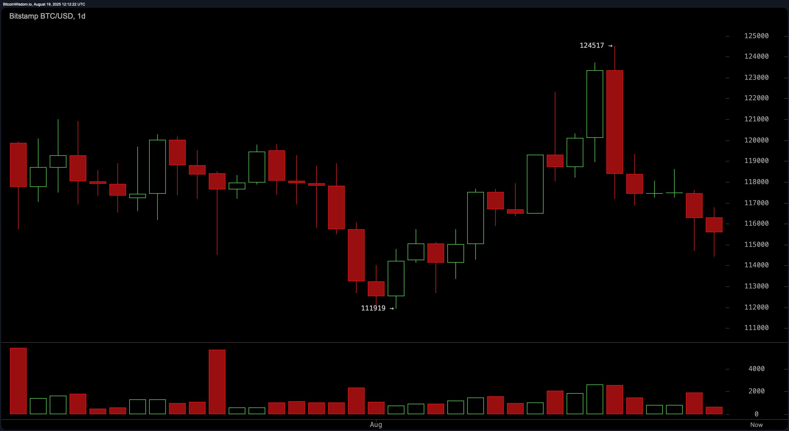 Bitcoin Price Watch: Bearish Engulfing Pattern Caps $124K Rally