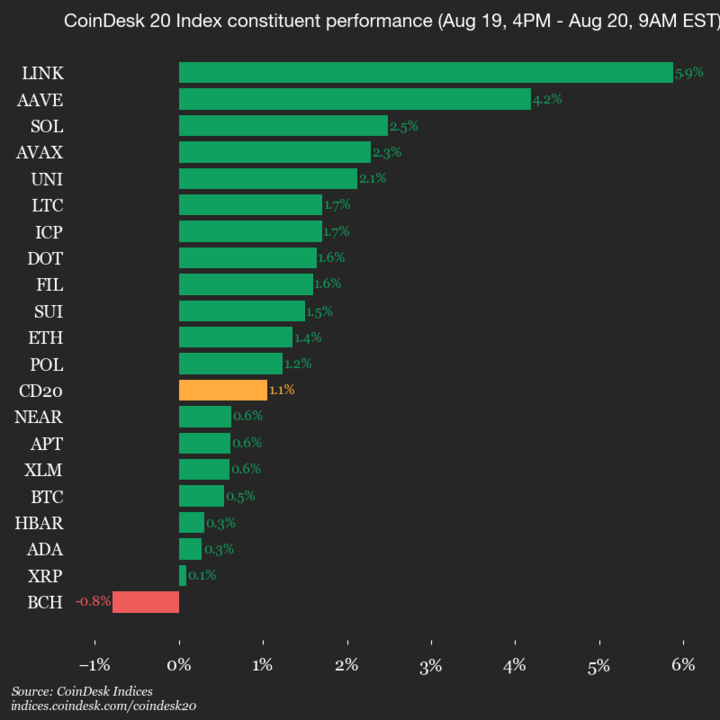 2025-08-20 9am CoinDesk 20 更新：垂直图