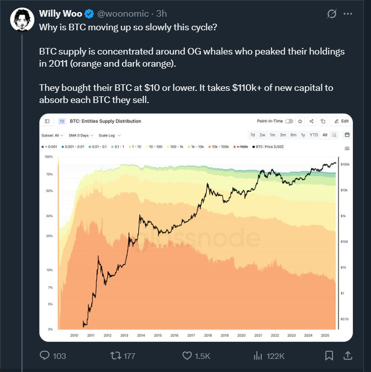 Willy Woo对比特币的看法