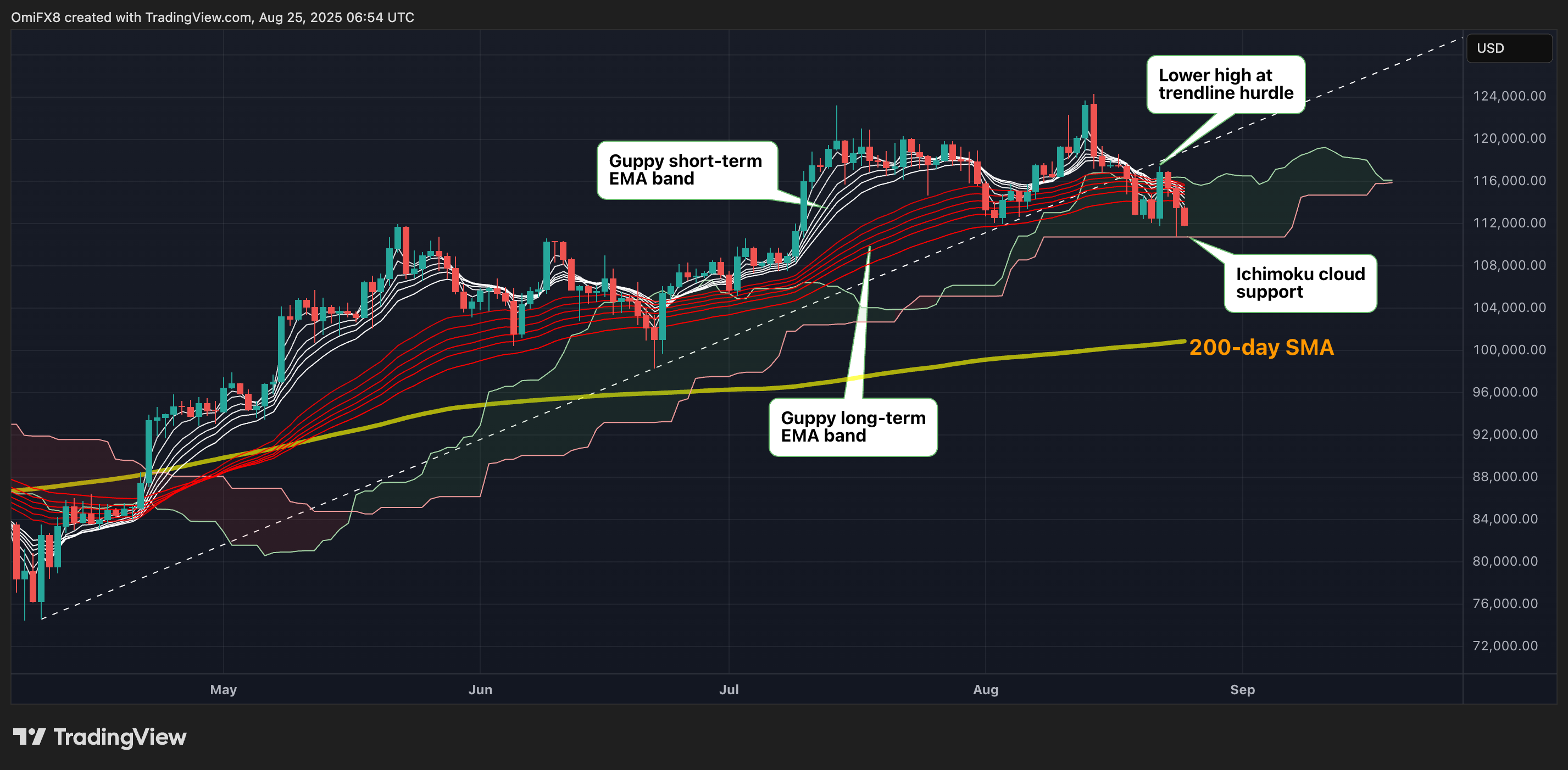 BTC的日线图. (TradingView/CoinDesk)