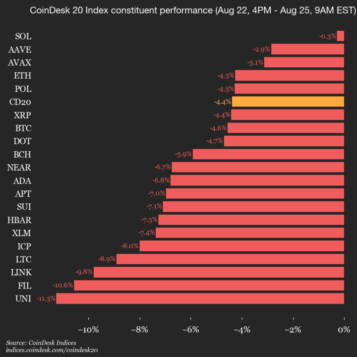 2025-08-25 9am CoinDesk 20 更新：垂直图