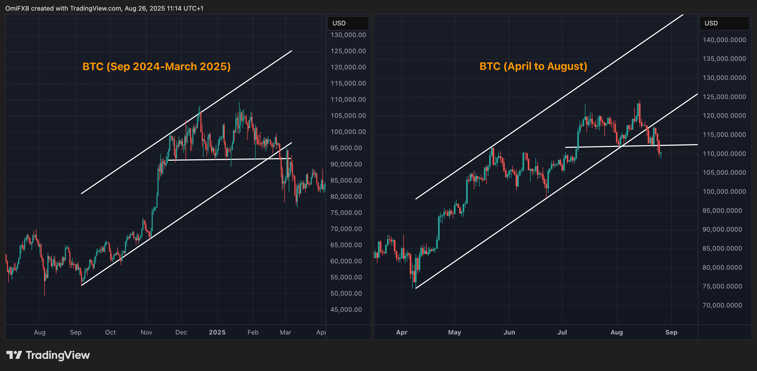 BTC日线图。（TradingView/CoinDesk）