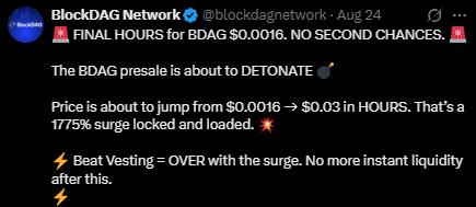 BDAG 预售价格