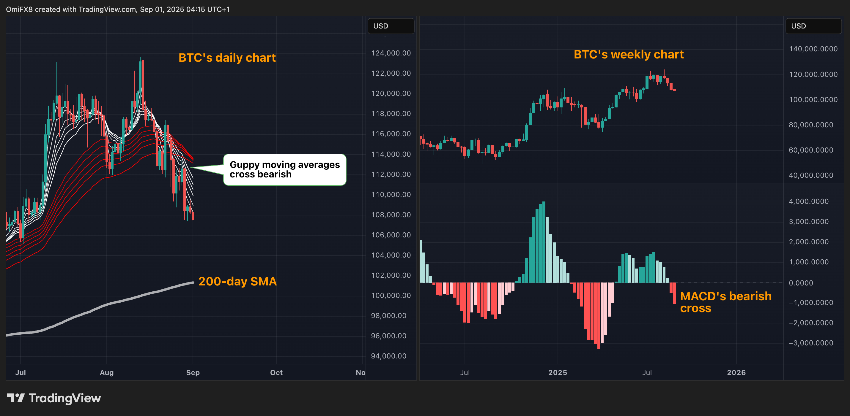 BTC的日线和周线图。(TradingView/CoinDesk)
