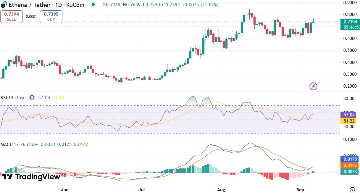 Ethena price rally analysis