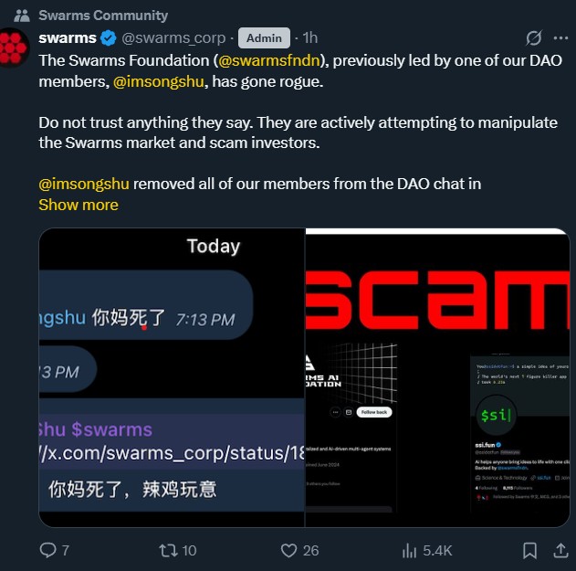 Swarms SSI Fun项目启动面临争议